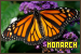  Butterflies: Monarch