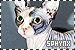  Cats: Sphynx