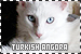  Cats: Turkish Angora