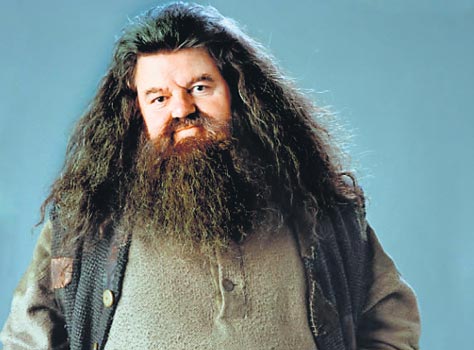 Hagrid Images