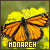 Monarch Butterflies button