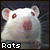 Rats
 button
