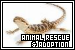  Animal Rescue and Adoption Groups