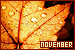  November