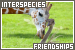  Interspecies Friendships